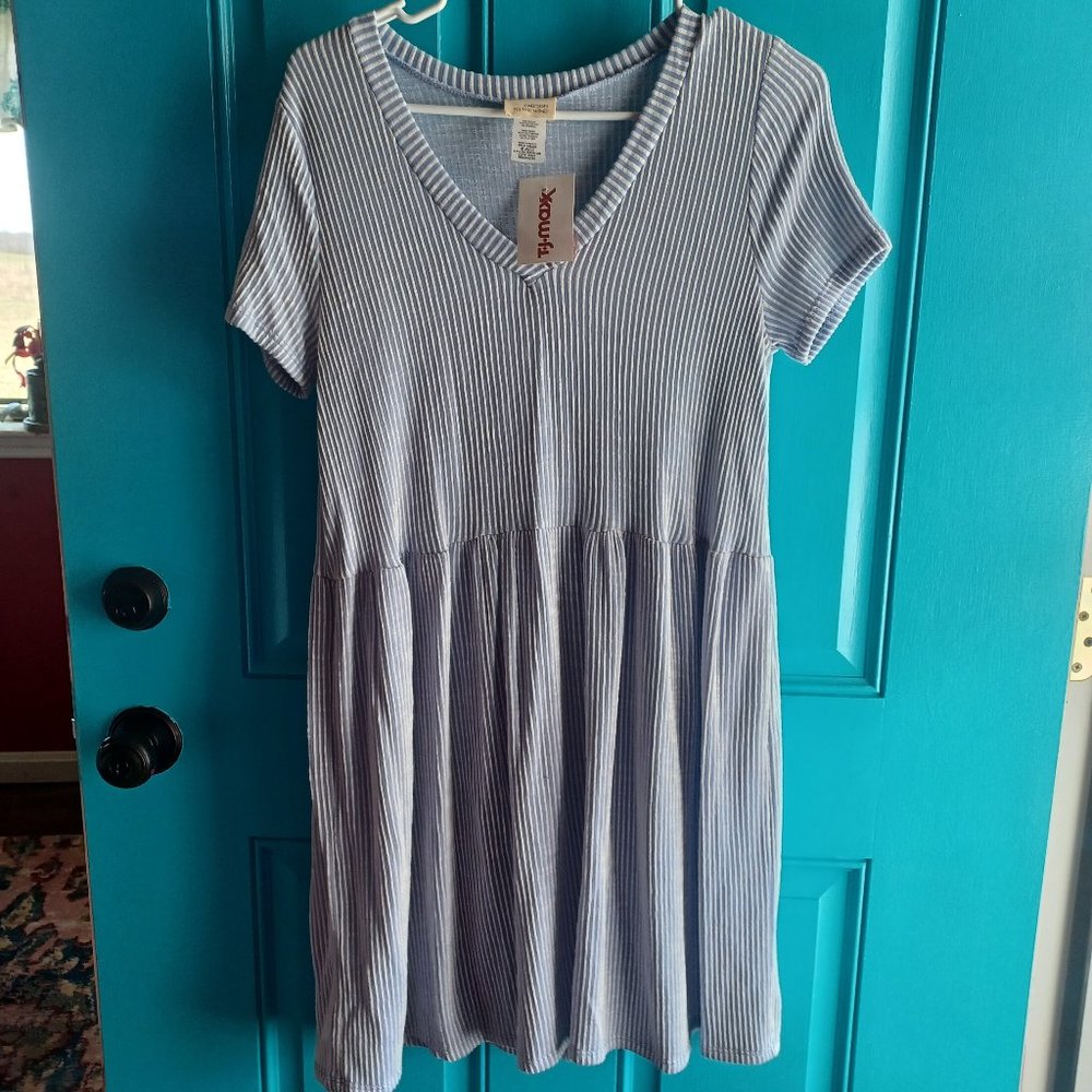 Caution to the Wind Medium Striped Babydoll Dress NWT